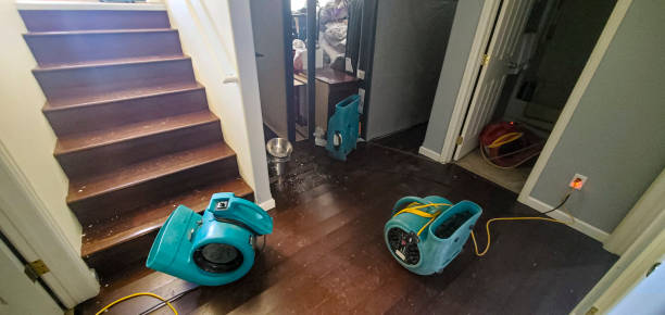 Best Flood damage cleanup  in Carrboro, NC