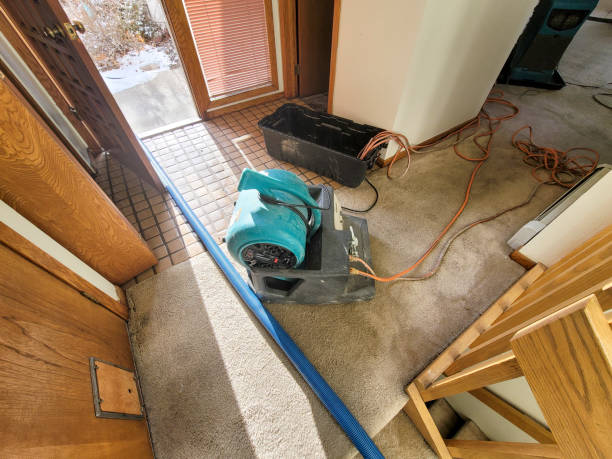 Trusted Carrboro, NC Water damage restoration Experts