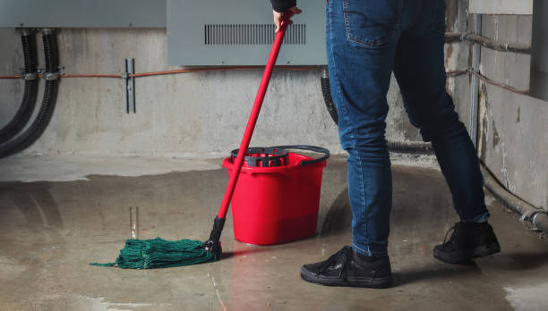 Best 24/7 water damage repair  in Carrboro, NC
