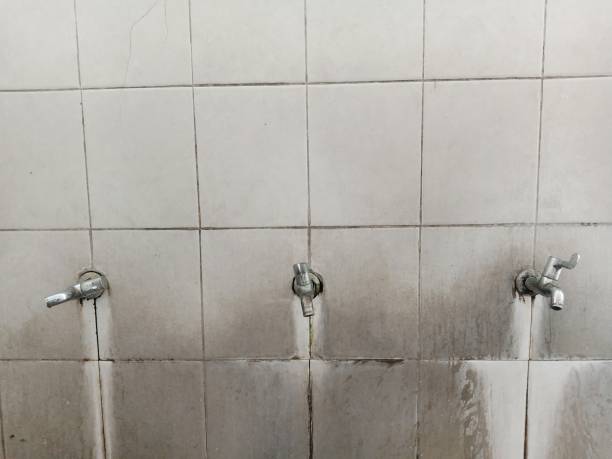 Best Water damage restoration services  in Carrboro, NC