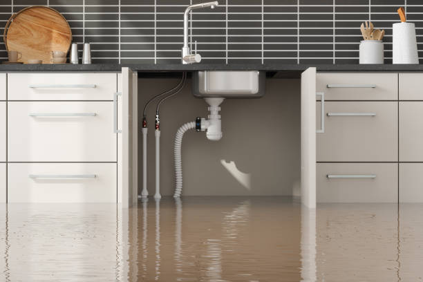 Best Fire Damage Restoration  in Carrboro, NC